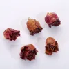 New natural flower jewelry accessories, niche retro rose earrings and pendants, handcrafted diy semi-finished materials details Picture
